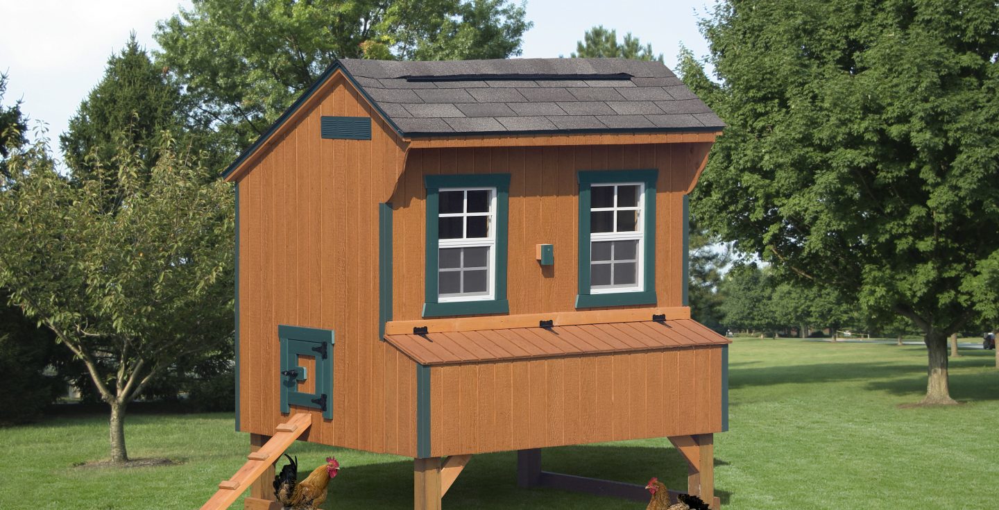 wooden chicken coop with green trimmings
